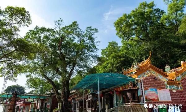揭西河婆，高科技产品引领未来，无前科技魅力体验最新新闻
