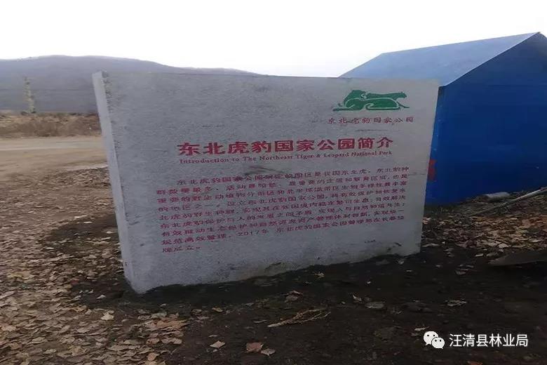 东宁虎豹公园最新动态揭秘