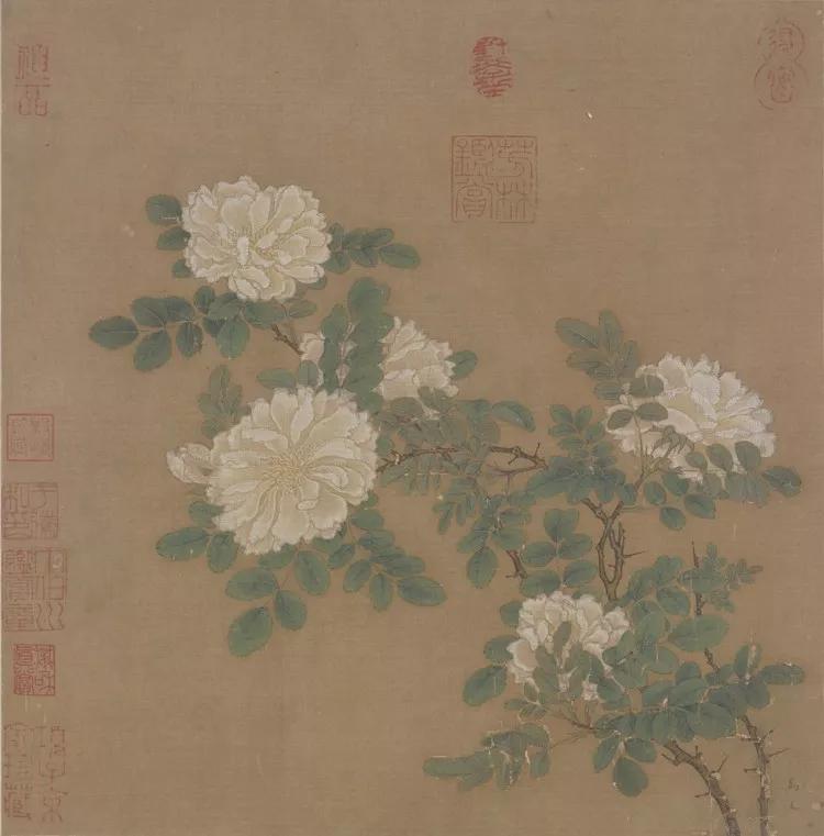 荣耀系列最新款，科技之光，时代典范风采展现