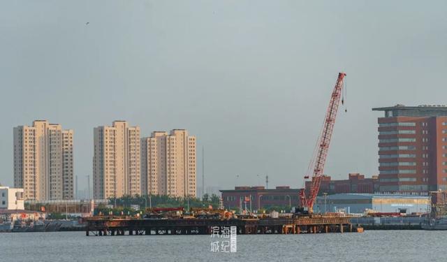 滨海新区Z4线最新动态，科技驱动未来轨道交通之旅