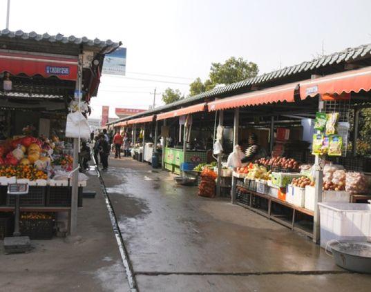 昭大一级公路最新动态，启程探索自然美景的旅行之路