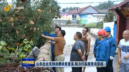 山东省扶贫办发布最新消息🌱✨