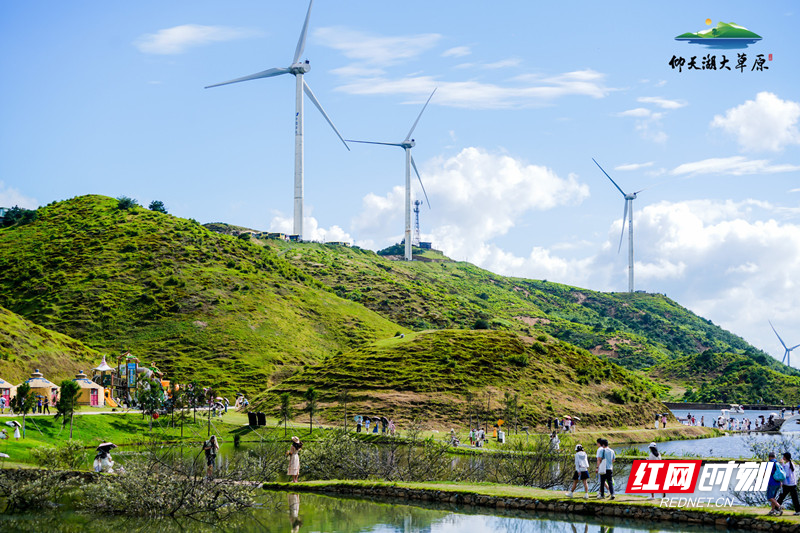 齐河德百招聘最新动态，自然美景探索之旅启航