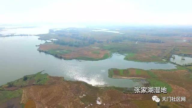 天门市张家湖最新进展概况更新通知