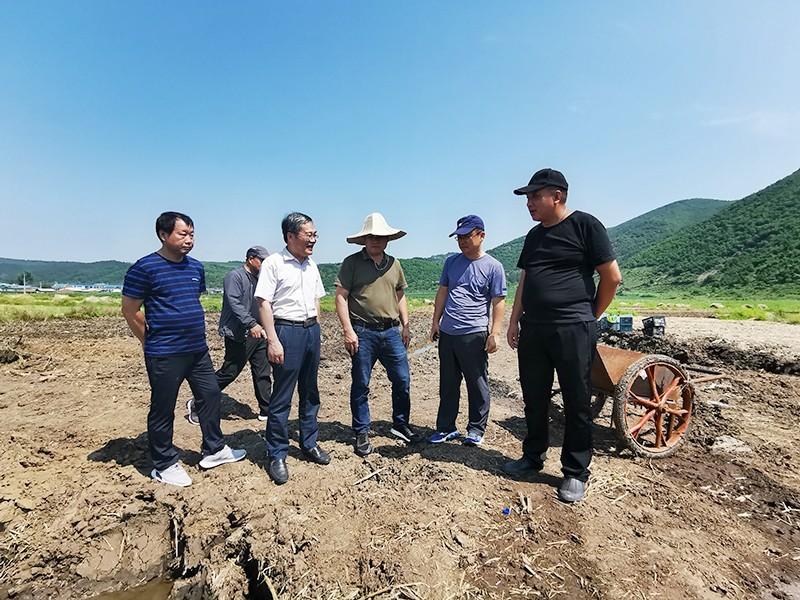 象山县最新拟提拔干部的高科技助力引领未来，科技改变生活新篇章！