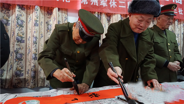 河北省志愿兵最新政策揭秘，小巷深处的独特风味探寻指南