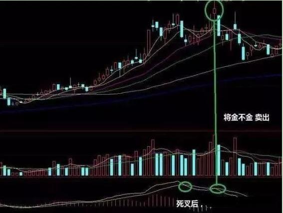 通达信最新主力控盘指标源码揭秘，股市中的主力温情故事探索