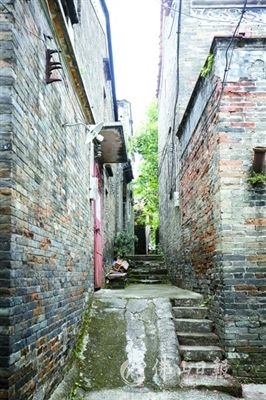 三水长鹿项目新进展，小巷隐藏宝藏掀起探索热潮，独特环境成新焦点