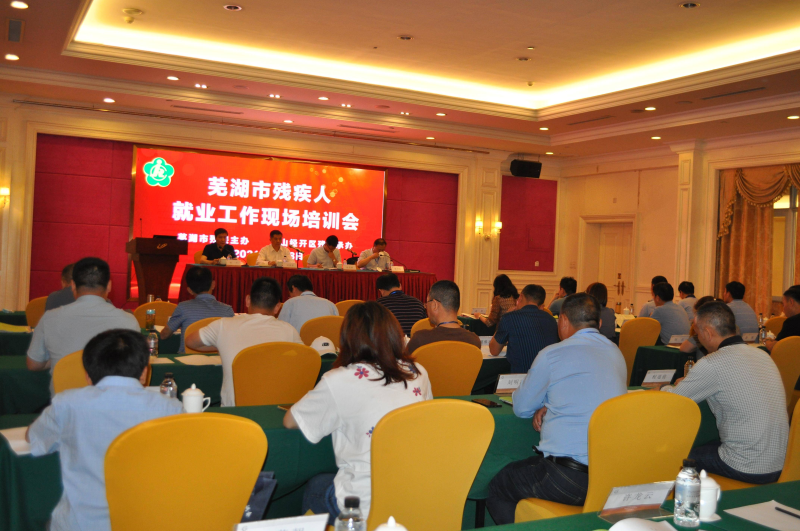 芜湖市三山区最新招聘信息，科技引领未来，触手可及的机会！