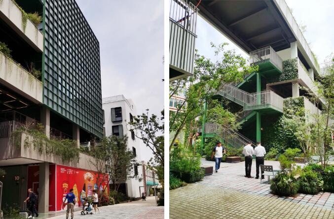 公寓最新动态与小巷深处的特色小店探秘