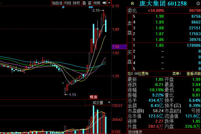 庞大集团股票最新动态，深度分析与观点阐述