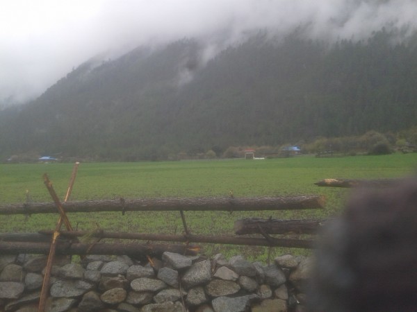 句容最新拆迁动态，自然美景探索之旅启程