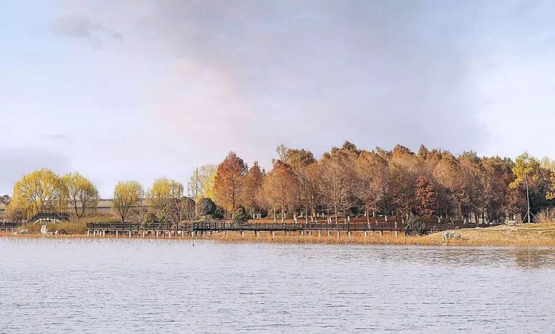 从化花林湖畔最新房价动态，风景变化中的学习与自信成就新篇章
