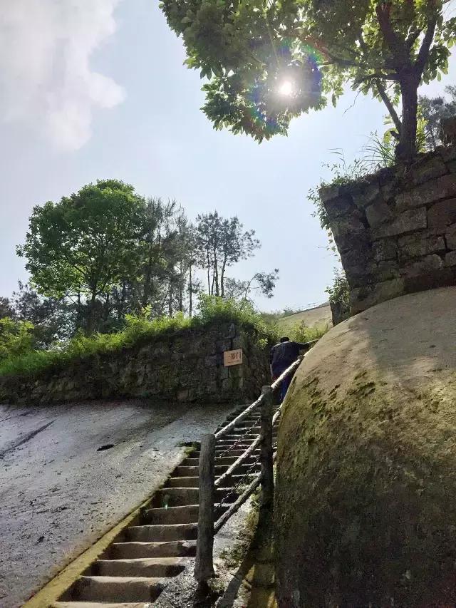 梁忠高速最新动态，最新消息揭秘🚗🛣️