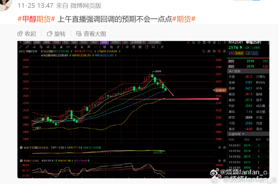 甲醇期货最新动态与小巷深处的特色小店探秘