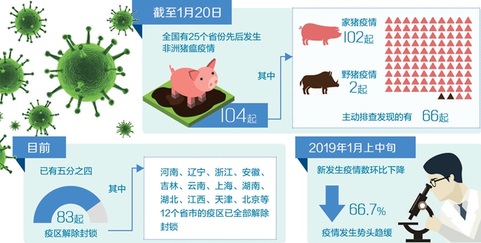 猪瘟最新动态，希望与力量的传递与变化